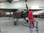 Auster 1