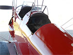 Tiger Moth