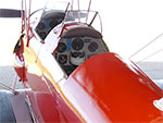 Tiger Moth