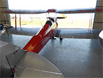 Tiger Moth