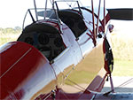 Tiger Moth