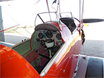 Tiger Moth