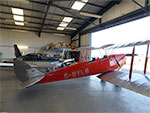 Tiger Moth